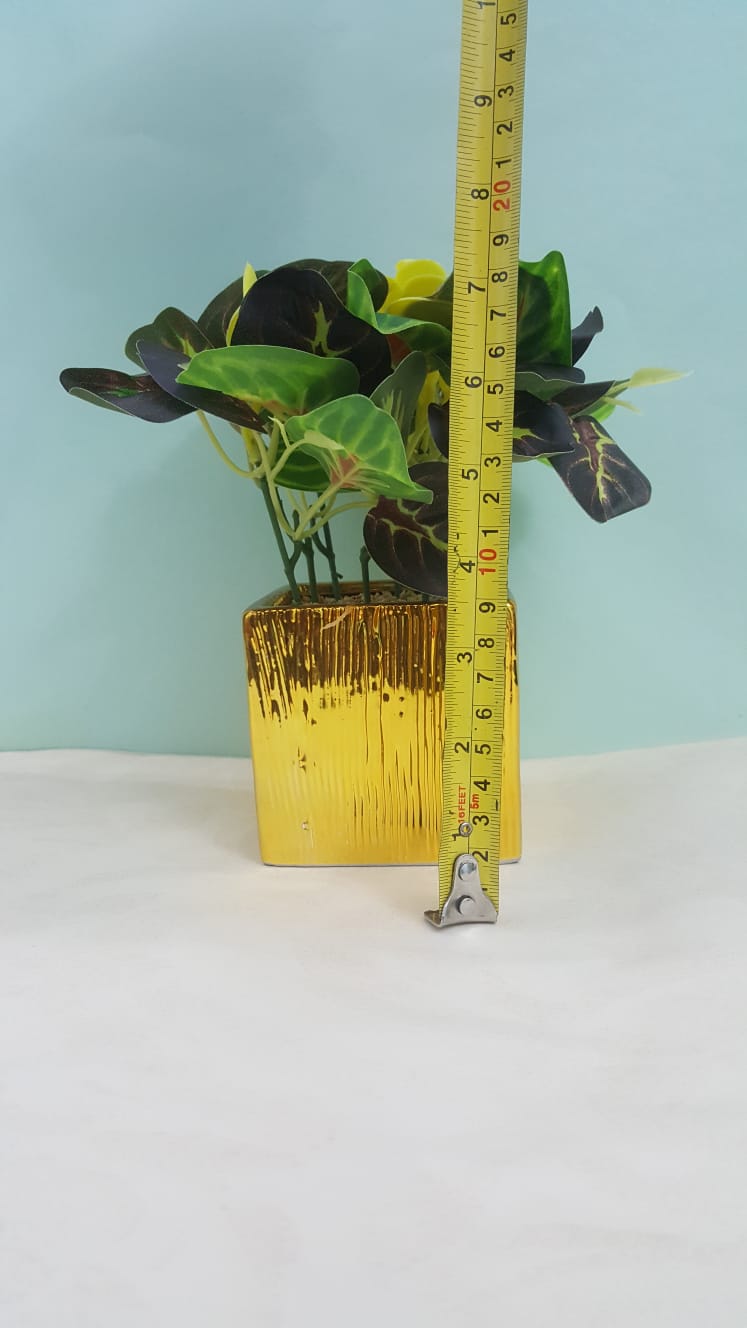 Exquisite Quality Ceramic Gold Plated Rubber Plant with Natural Look